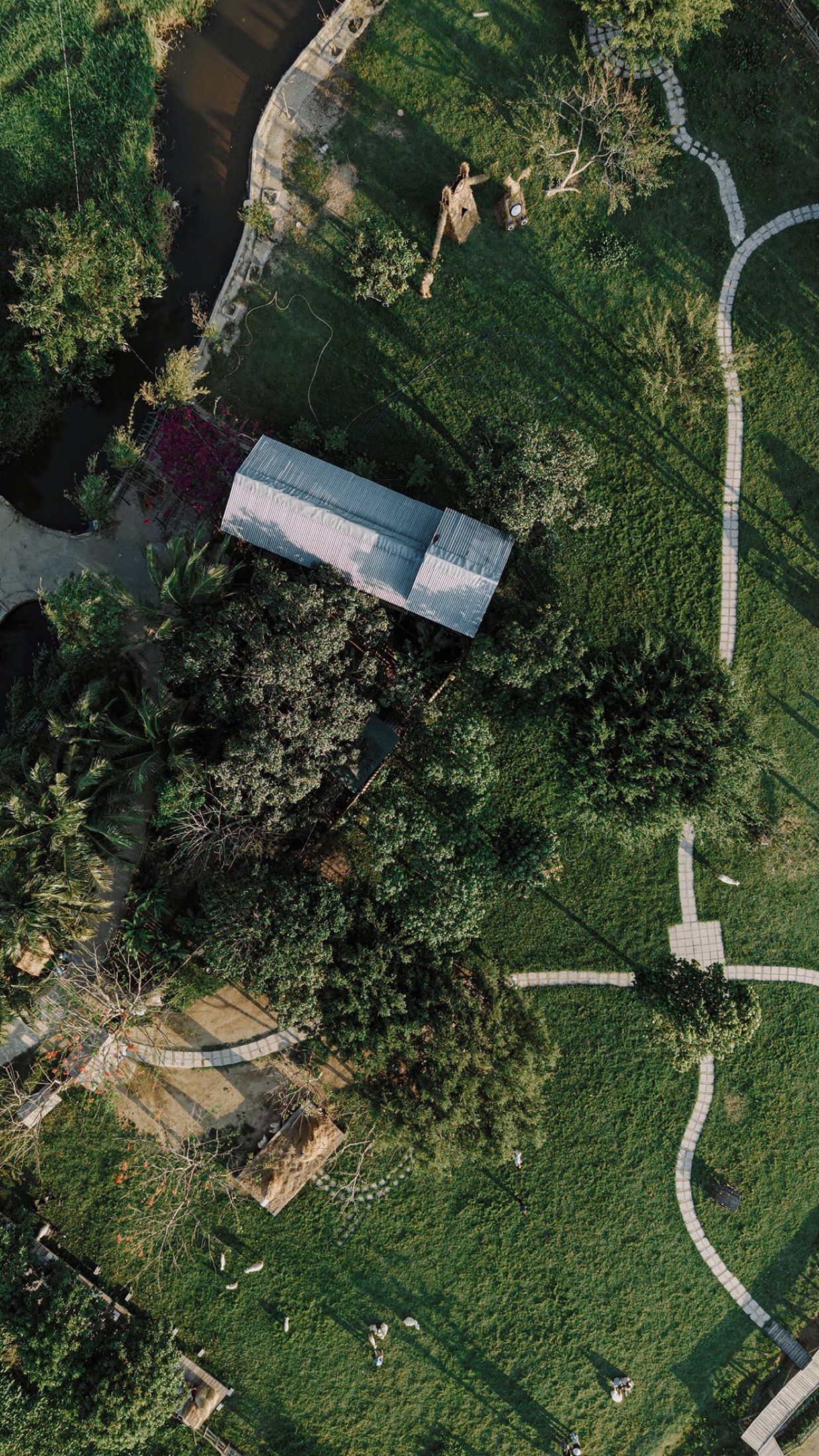 Flycam khu nhà gỗ